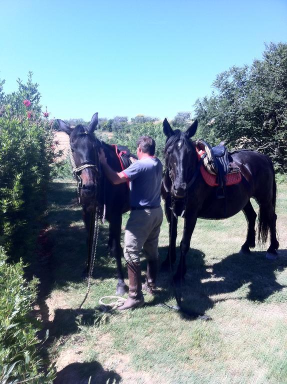 Agriturismo Prati Degli Orti 蒙蒂亚诺 外观 照片