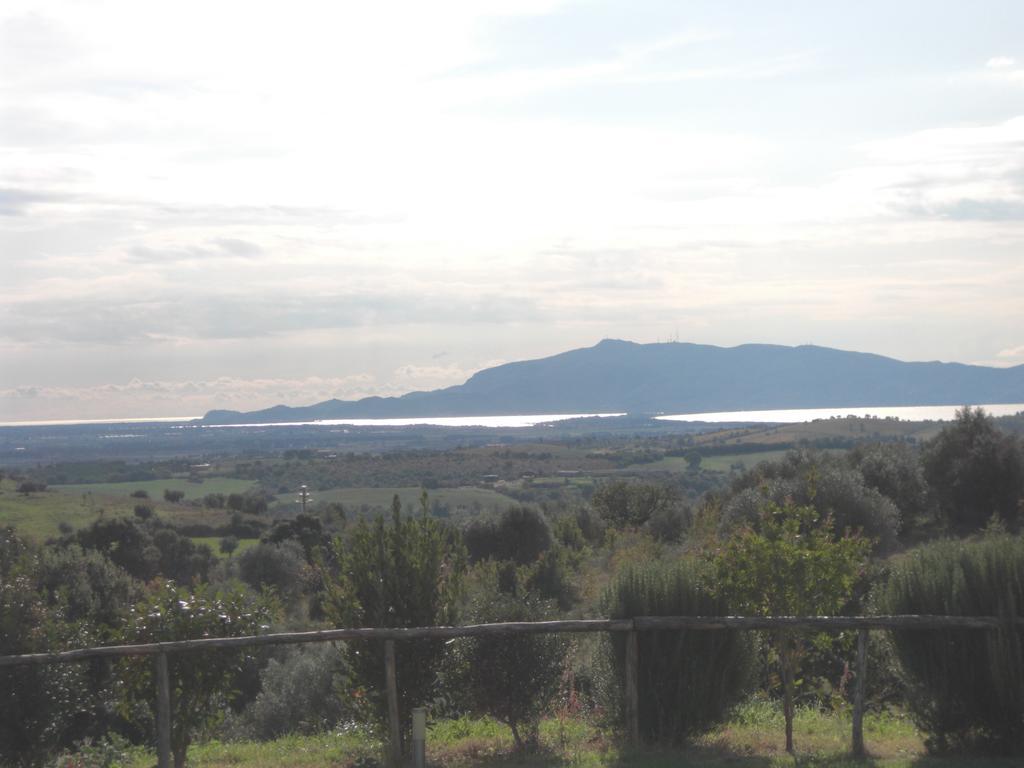 Agriturismo Prati Degli Orti 蒙蒂亚诺 外观 照片